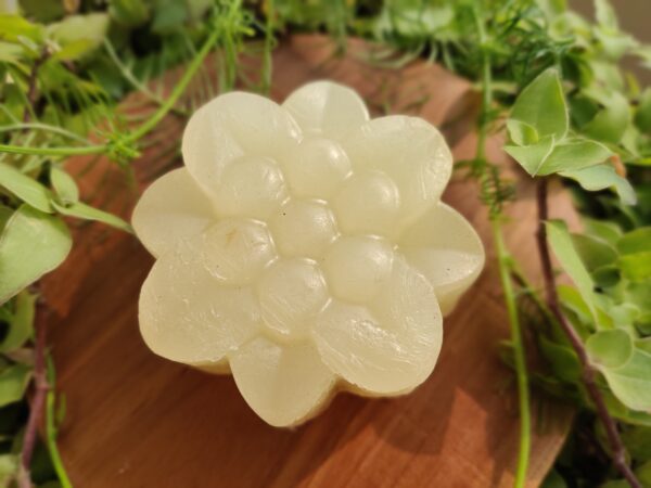 Milk Soap